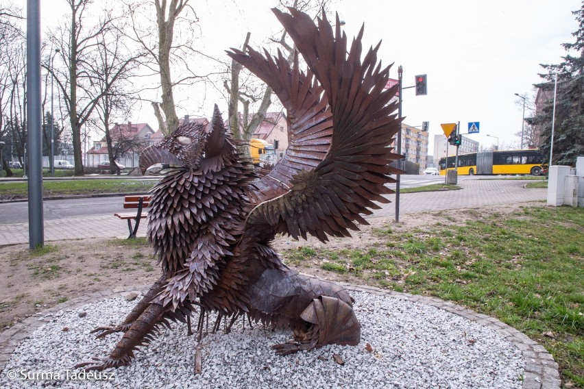 Stargardzki gryf w nocy stracił ogon. Policja szuka wandali