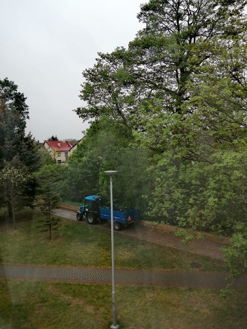 Widok z okna sypialni. Dzisiejsze zimny i deszczowy ranek.