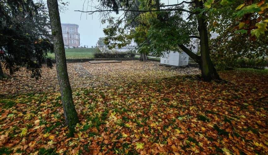 W centrum Bydgoszczy mają znajdować się macewy z któregoś z...