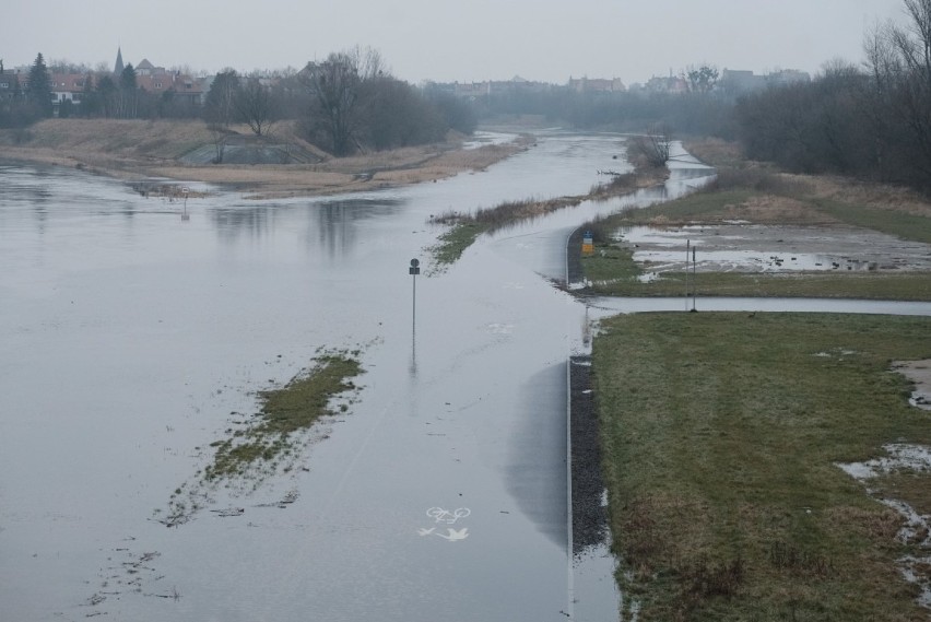 Wartostrada pod wodą. Wysoki poziom rzek w Poznaniu