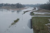 Wartostrada pod wodą. Wysoki poziom rzek w Poznaniu [ZDJĘCIA]