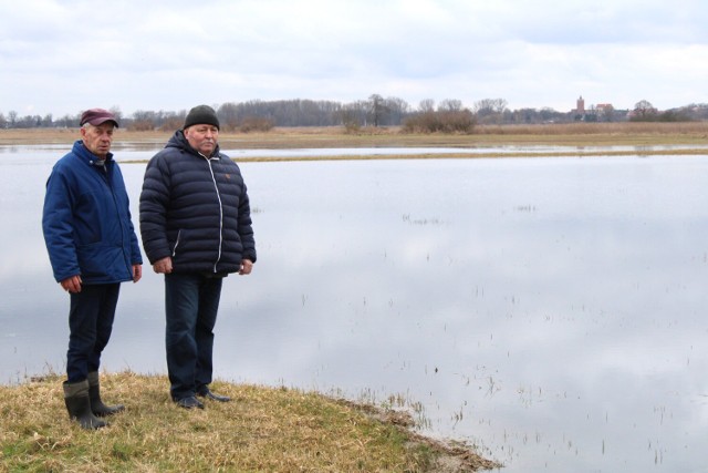 Znów zalało łąki w gminie Łęczyca. Rozlewisko przypomina jezioro --> ZDJĘCIA