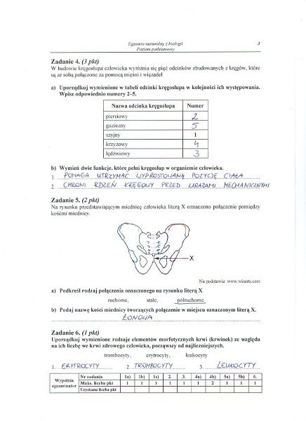 Matura 2013. Biologia - poziom podstawowy [ARKUSZE, ODPOWIEDZI]