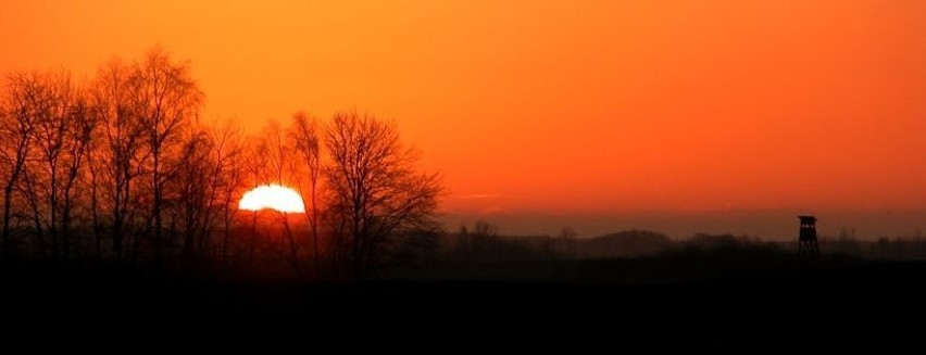 Ambona myśliwego podczas zachodu słońca
