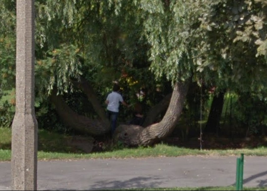 Szamotulanie złapani przez kamerę! Może ty też jesteś na zdjęciach Google Street View? Sprawdź!