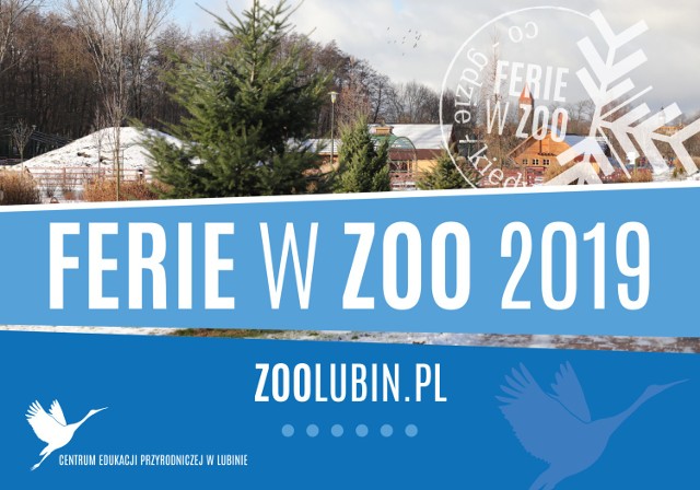 Ferie w lubińskim ZOO. Zobaczcie co dla Was przygotowano