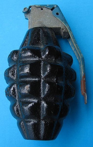 Źródło: http://commons.wikimedia.org/wiki/File:Hand_grenade_001.jpg