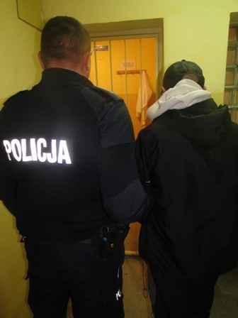 Policjanci zlikwidowali plantacje konopi w Łasku i zatrzymali 21-latka