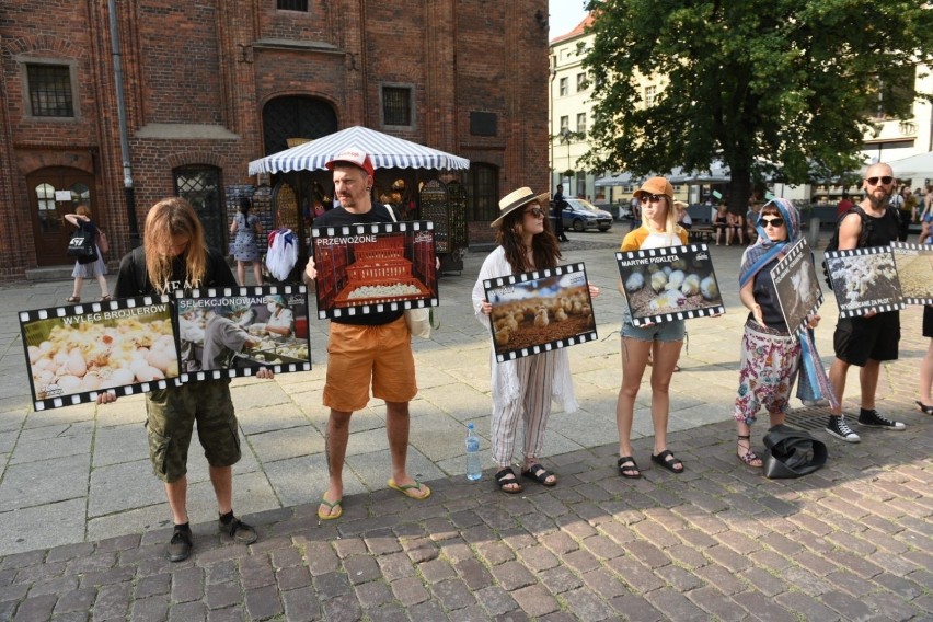 Dziś na Rynku Staromiejskim w Toruniu odbyła się pikieta w...