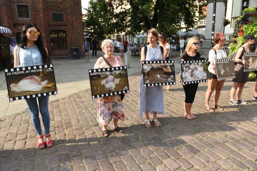 Dziś na Rynku Staromiejskim w Toruniu odbyła się pikieta w...