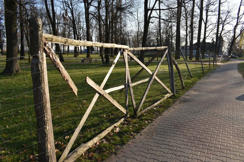 Ogrodzenie wokół Parku Tysiąclecia w Krośnie Odrzańskim...