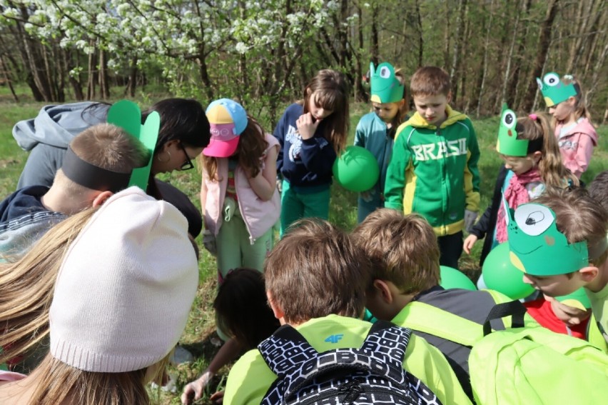Uczniowie z urzędnikami wzięli udział w akcji przenoszenia żab do stawów 