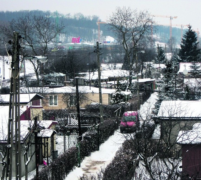 Ogródki przy al. Zwycięstwa będą mogły być utrzymane.