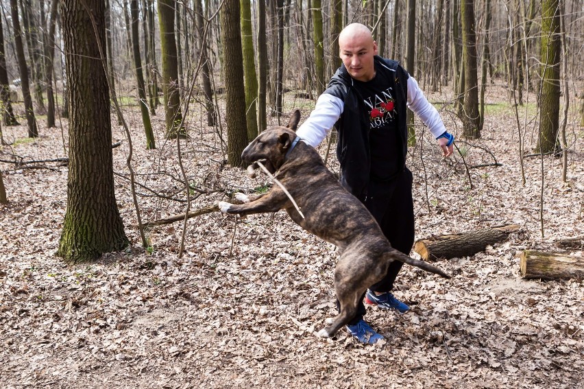 "On sprawia mi najwięcej radości na świecie". Cycu, czyli ukochany pies Artura Szpilki