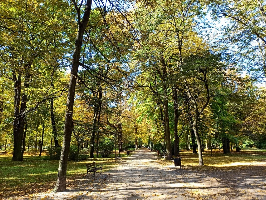 XIX-wieczny park miejski m. F. Kachla w Bytomiu zachwyca w jesiennej szacie