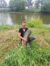 Tomasz Gaba z Międzychodu wyciągnął z rzeki Warty suma, który ważył... 30 kilogramów! Gratulujemy!