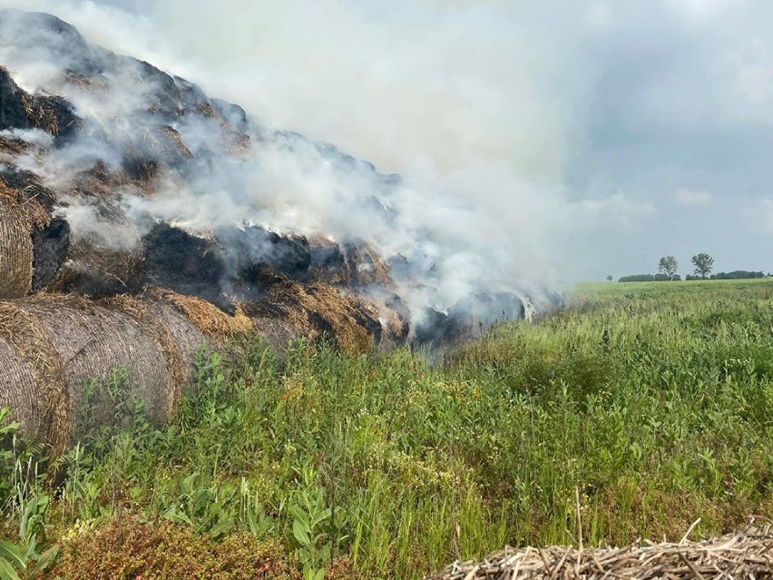 Pożar balotów słomy w Dobroszycach (FOTO, WIDEO)      