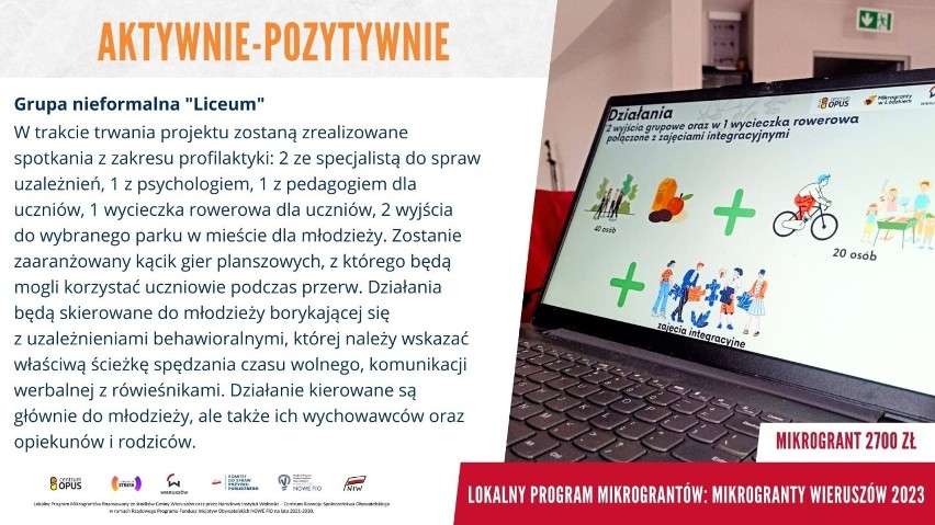 Mikrogranty 2023 w Wieruszowie. 11 inicjatyw społecznych z dofinansowaniem 