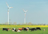 Coraz więcej biomasy, słońca i wiatru w energetyce, czyli o tym, dlaczego warto postawić też na OZE