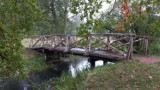 Park w Gołuchowie. Młoda krówka w pokazowej zagrodzie żubrów czeka na imię 