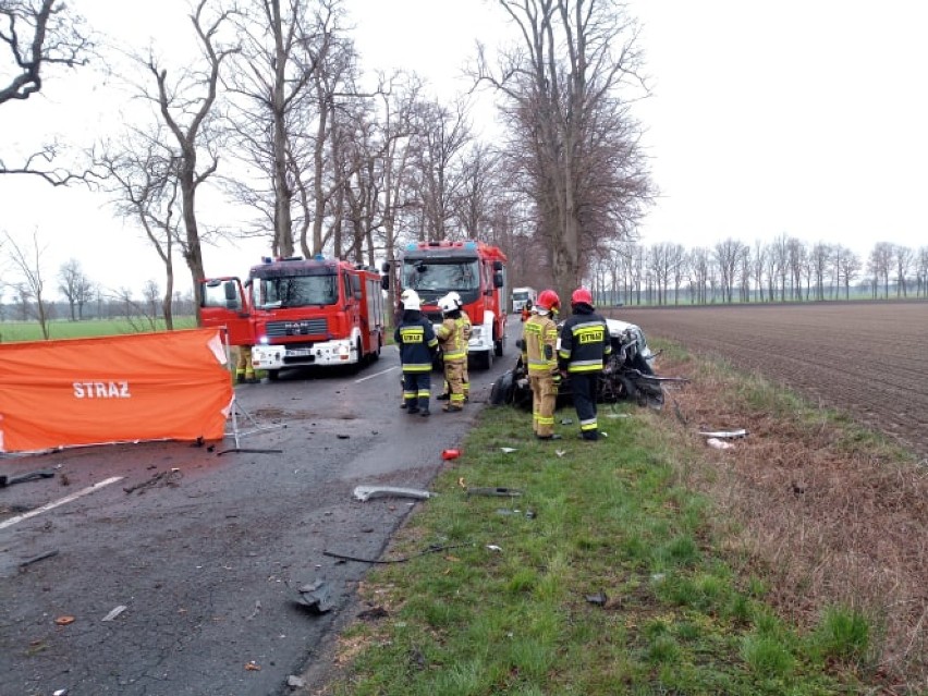 Śmiertelny wypadek na trasie Przyprostynia - Chobienice. Auto uderzyło w drzewo [ZDJĘCIA]