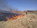 Groźne pożary traw. Strażacy walczyli z ogniem m.in. w Siewierzu, Będzinie i Dąbrowie Górniczej. OSP Strzemieszyce potrzebują samochodu 