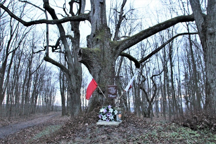 Kurhan poległych w walce o wolność Ojczyzny w 1863 roku....