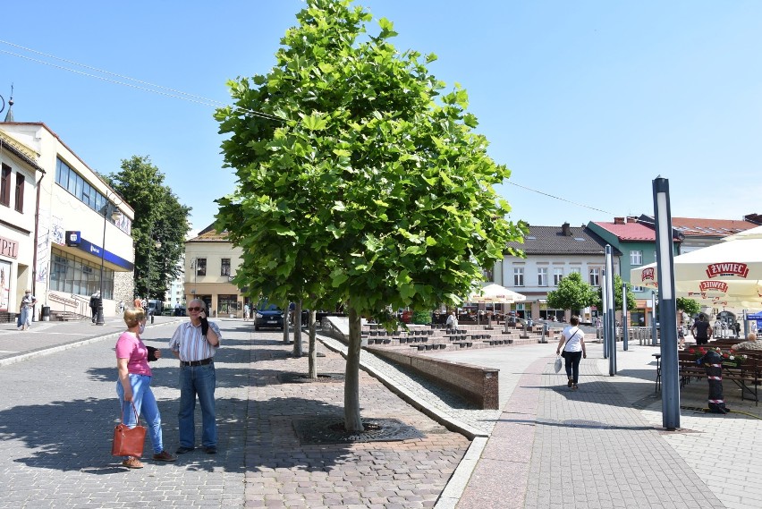 Chrzanowski rynek czeka na remont i zieleń. Na razie to betonowa wyspa w sercu miasta [GALERIA]