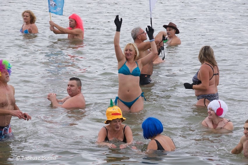 Klub Morsów Miedwianie dziś rozpoczął nowy sezon zimnych kąpieli w jeziorze. Zdjęcia Tadeusza Surmy
