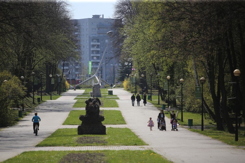 Wróciło życie na alejki Parku Śląskiego