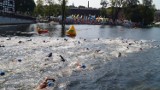 II Wyścigi Pływackie "Woda Bydgoska" [zdjęcia, wideo] 