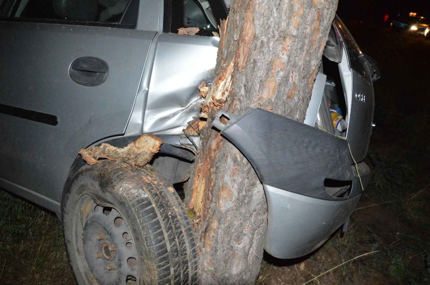 Nieoświetlony 19-letni motorowerzysta spowodował wypadek we Włocławku. Opel uderzył w drzewo [wideo]