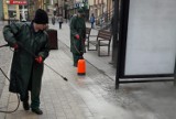 Starogard Gdański: Miejski Zakład Komunikacji dba o dezynfekcję przystanków i autobusów! 