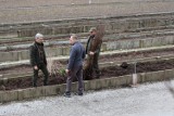 Akcja „Zielone Radomsko”. Radomszczanie odebrali prawie 6,5 tys. sadzonek drzew