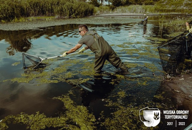 Żołnierze pomagają oczyszczać rzekę z martwych ryb