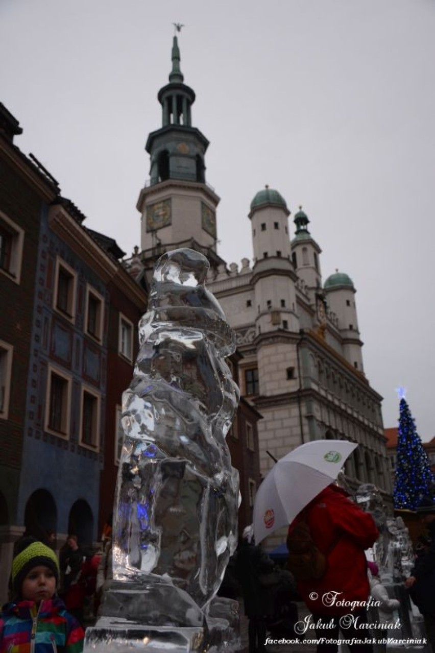 Festiwal rzeźby lodowej Stary Rynek