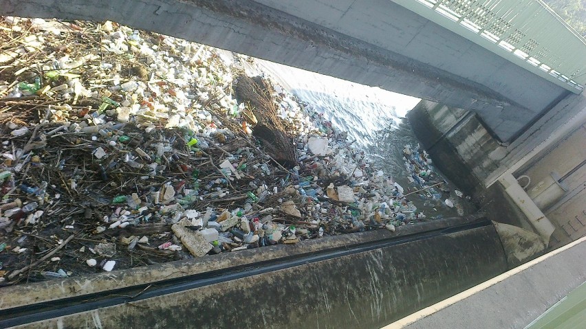 Morze śmieci przy Zaporze w Rzeszowie