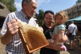 Kochacie miód pszczeli? W sobotę w Urzędzie Marszałkowskim w Rzeszowie - XIV Podkarpackie Święto Miodu
