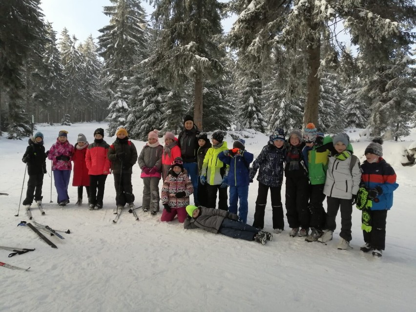 Śnieg, narty i mnóstwo uśmiechów. Uczniowie ze Szkoły Podstawowej w Sulikowie szaleli na nartach w Jakuszycach (ZDJĘCIA)