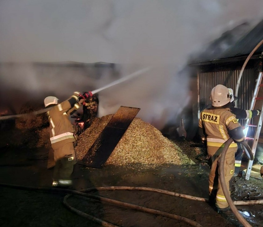 Przez 5 godzin strażacy walczyli z nocnym pożarem budynku gospodarczego w Łące Prudnickiej. Spłonął warsztat pszczelarski