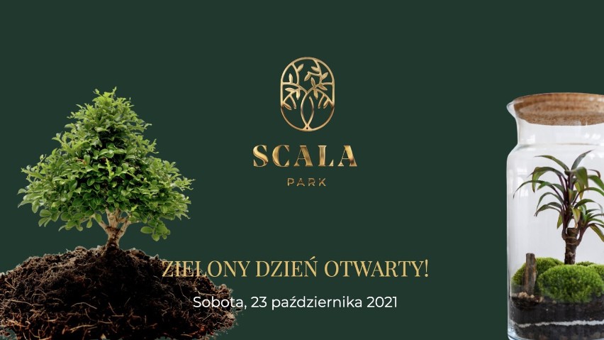 Zielony Dzień Otwarty na powstającym osiedlu Scala Park w Legnicy. Będzie wiele atrakcji, konkurs i prezentacja mieszkań