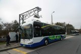 Hiszpańskie autobusy Irizar na ulicach Krakowa. Wiemy, na jakich liniach będą kursowały nowe elektryki