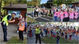 Park Strzelecki w Tarnowie opanowały przedszkolaki. "Odblaskowy piknik"  z policjantami, ratownikami i motocyklistami. Mamy zdjęcia! WIDEO