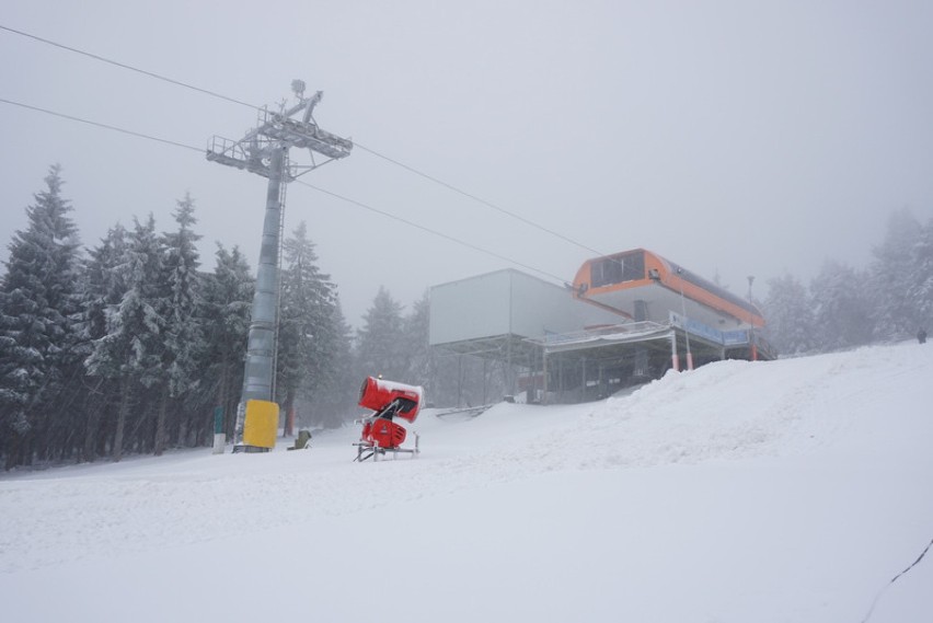 Zieleniec biały! W sobotę otwarcie sezonu w Ski Arena...