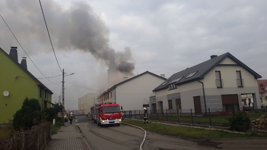 Pożar domu wielorodzinnego w Bierawie. Strażacy ratowali zwierzęta domowe [ZDJĘCIA]