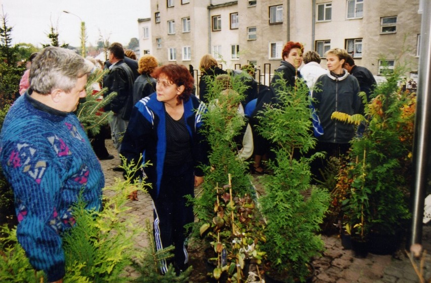 Akcja "Drzewko za makulaturę" w Dzierzgoniu w 2001 roku