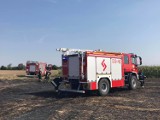 Pożar ścierniska w Piszkawie                 