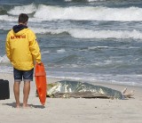 Zwłoki na plaży Władysławowo. Ciało pływało w Bałtyku