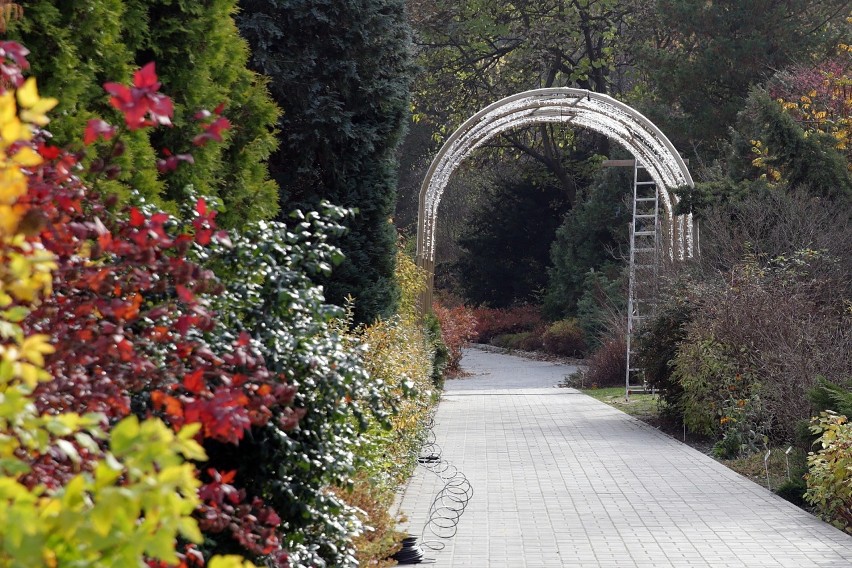 Iluminacje czas zacząć! W Ogrodzie Botanicznym UMCS powstaje czwarty w kraju Lumina Park