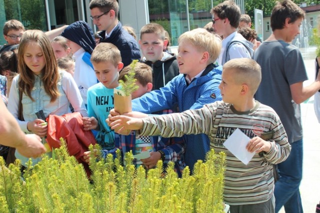 Leśnicy zorganizowali koncerty z cyklu "Z muzyką o ekologii"